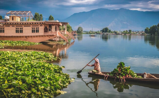 Kashmir